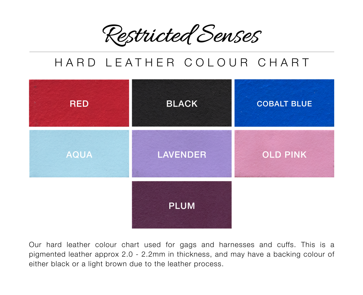 Leather Bondage Simple Style Harness Ball Gag V2