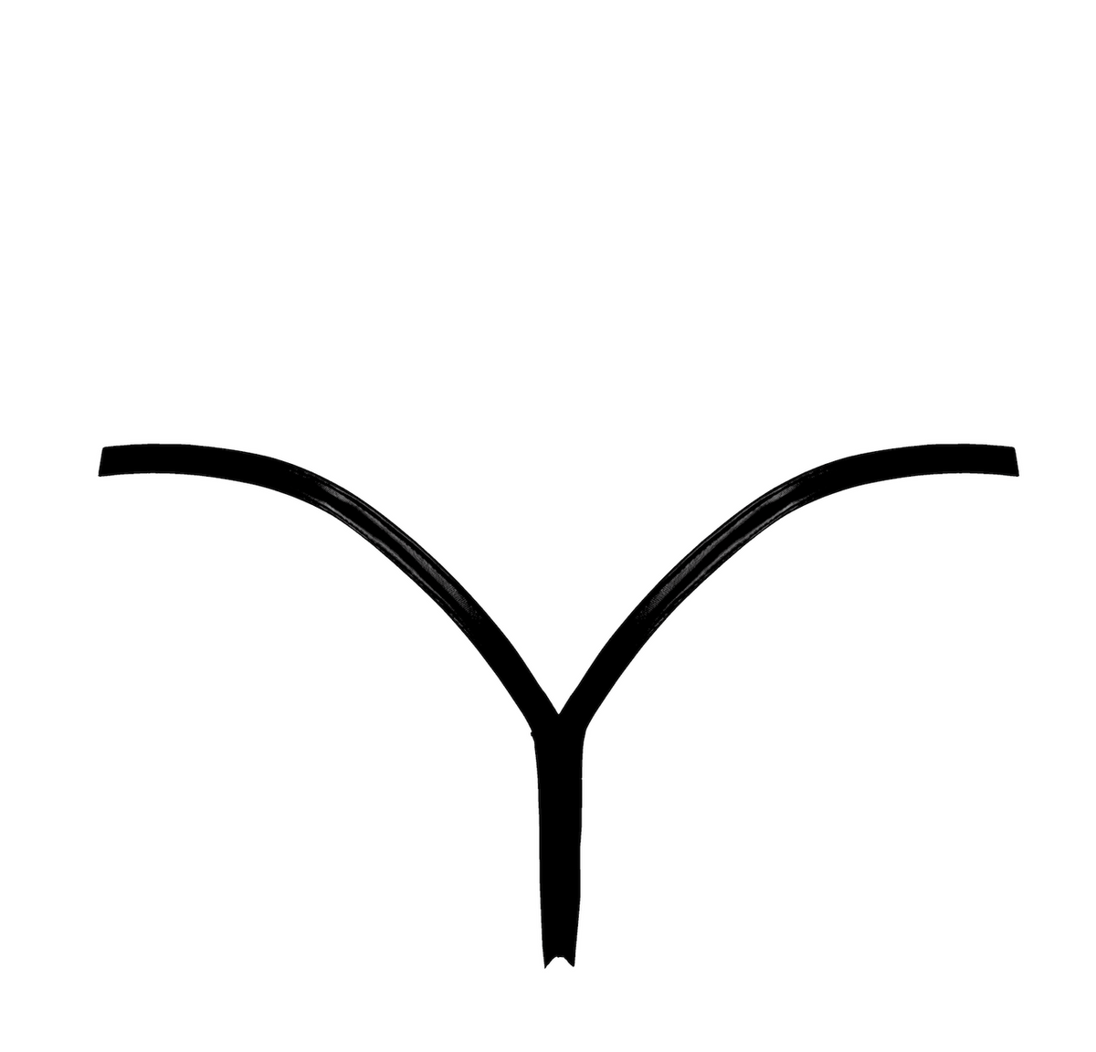 Do Not Disturb Thong
