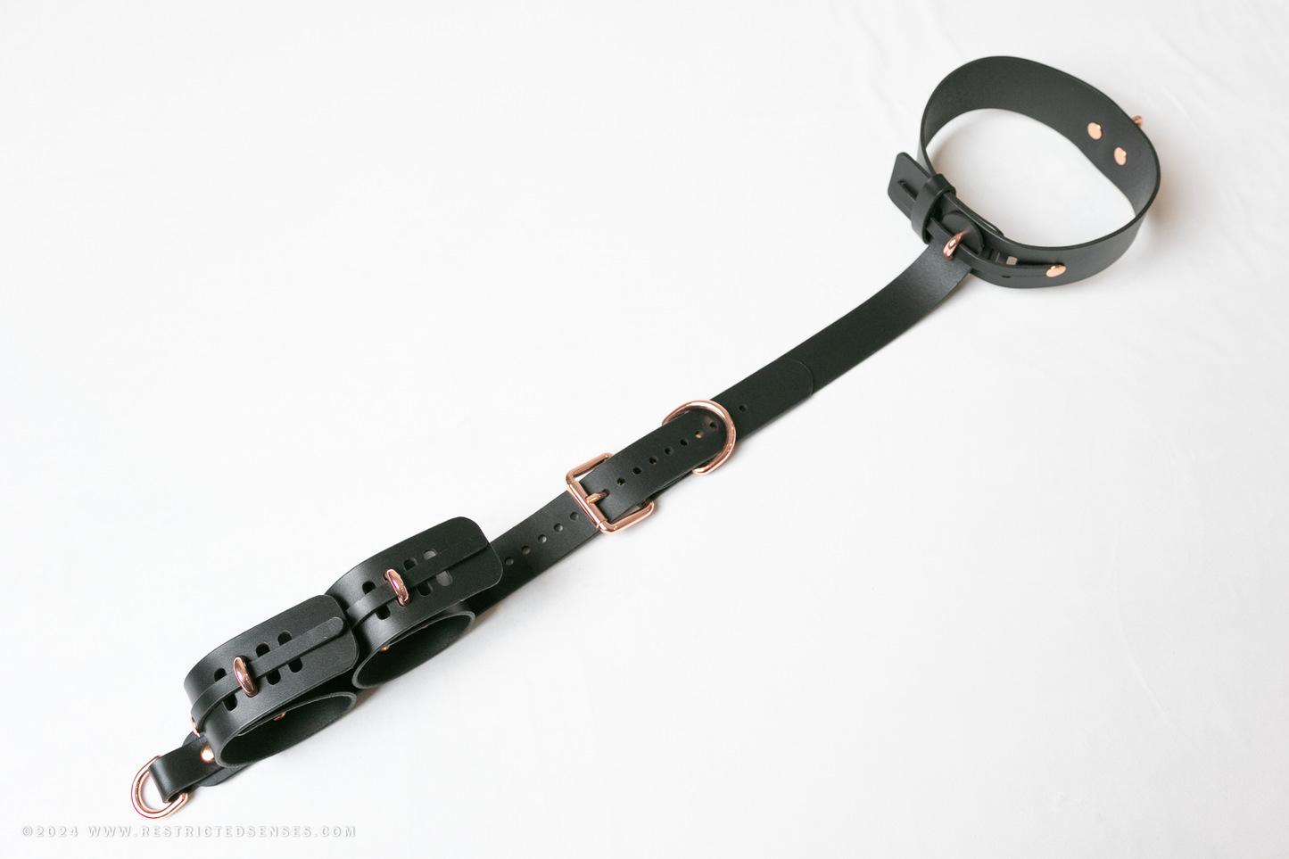 Locking Post Arms to Collar Bondage Detention Restraint System
