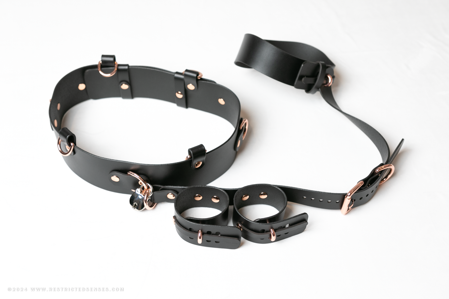 Locking Post Arms to Collar Bondage Detention Restraint System