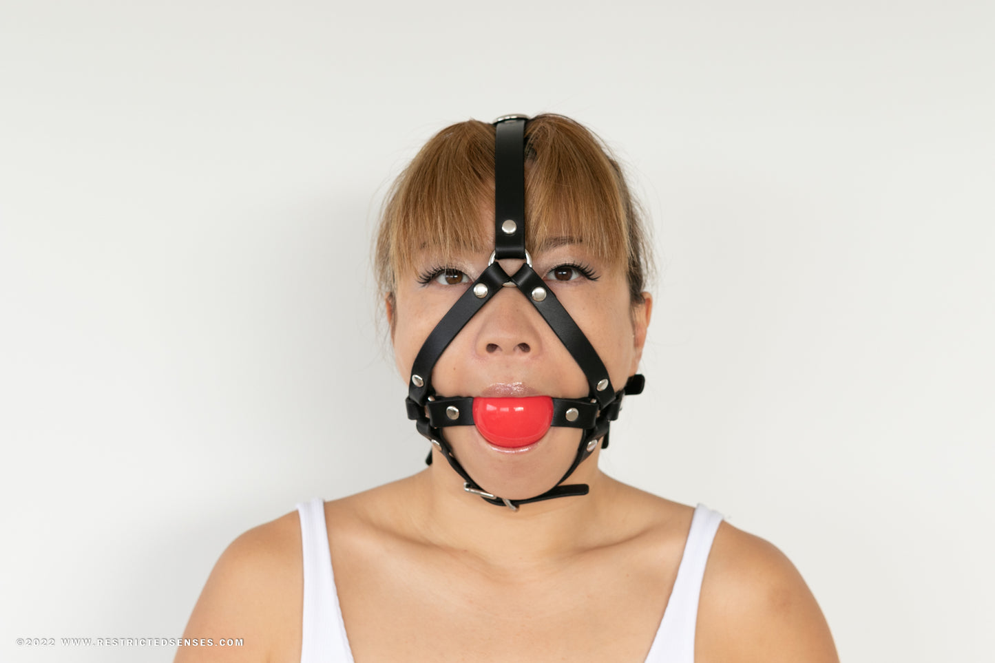 Leather Bondage Heavy Harness Gag