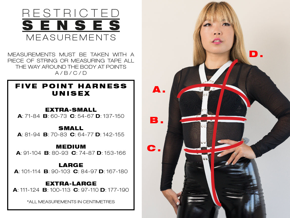 Leather Bondage Five Point Body Harness