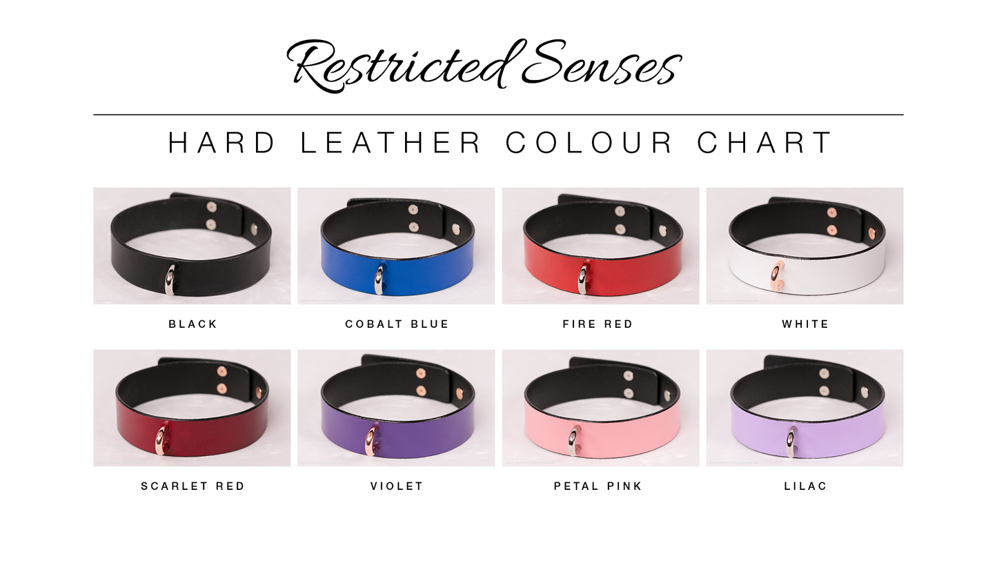 Leather Bondage Heavy Harness Gag