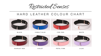 Leather Bondage Locking Collar with Post