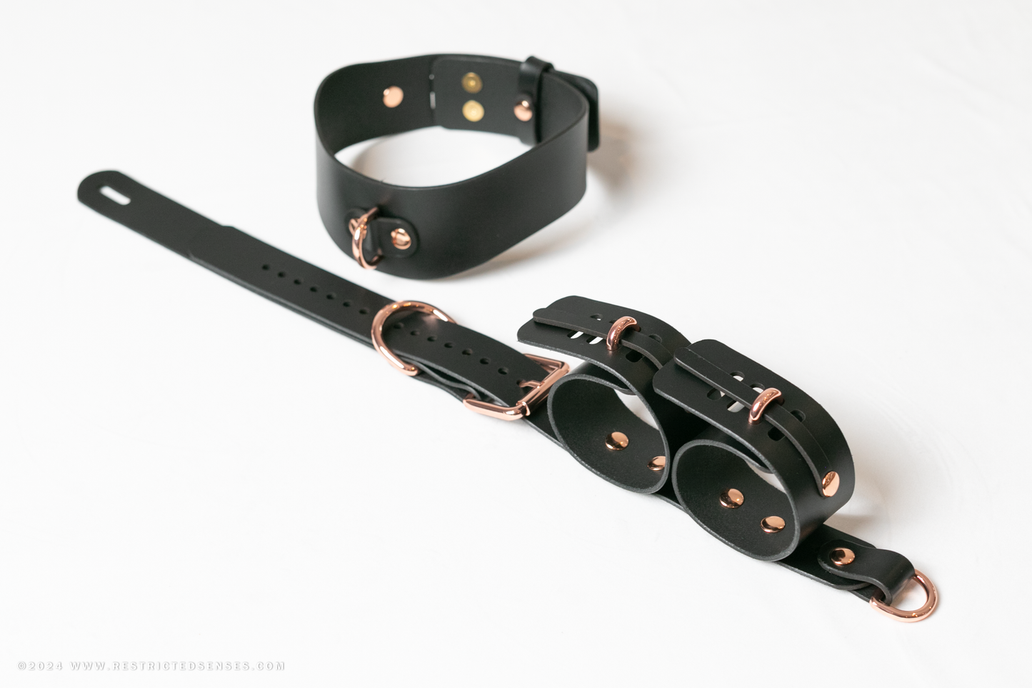 Locking Post Arms to Collar Bondage Detention Restraint System