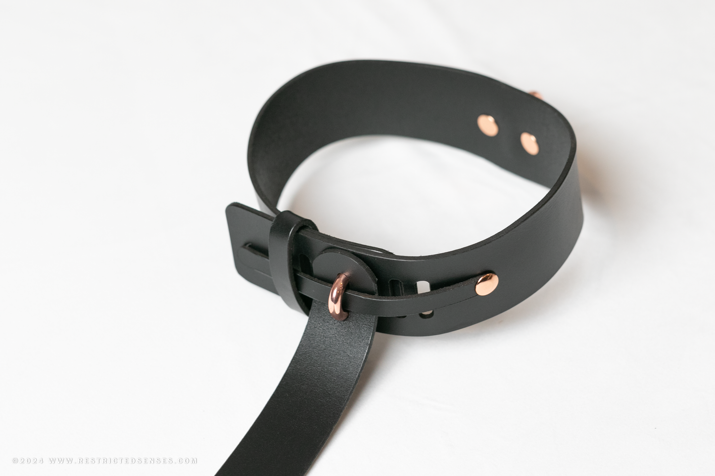 Locking Post Arms to Collar Bondage Detention Restraint System