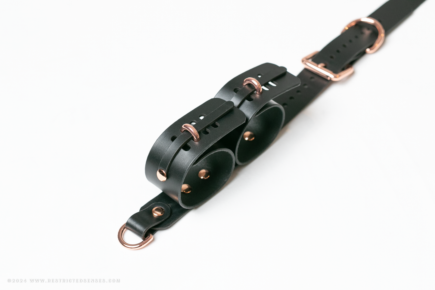 Locking Post Arms to Collar Bondage Detention Restraint System