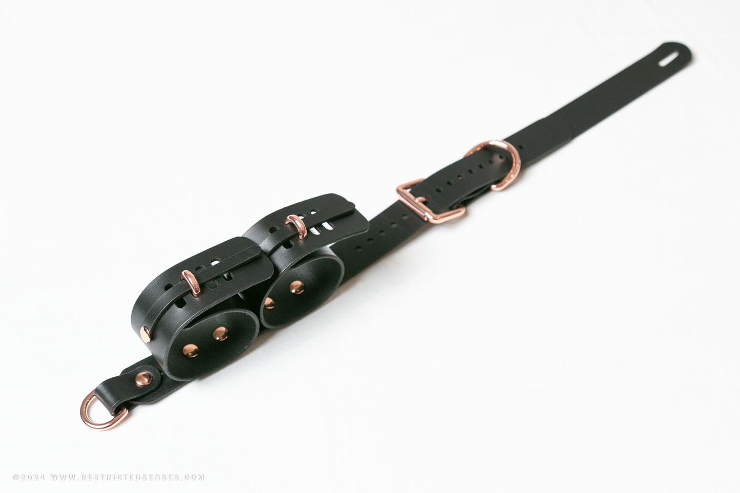 Locking Post Arms to Collar Bondage Detention Restraint System