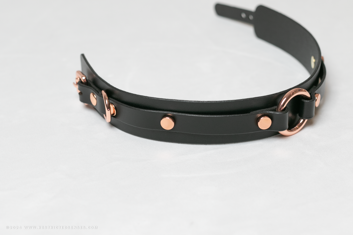 Leather Bondage O-Ring Collar