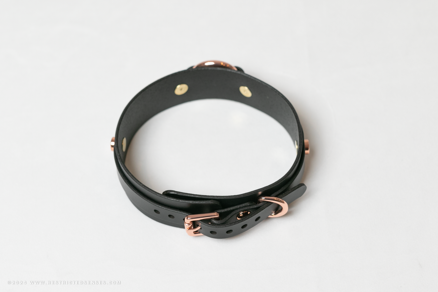 Leather Bondage O-Ring Collar