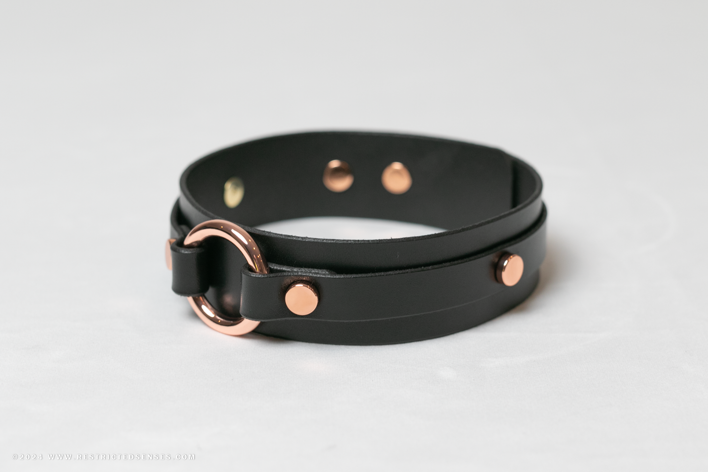 Leather Bondage O-Ring Collar