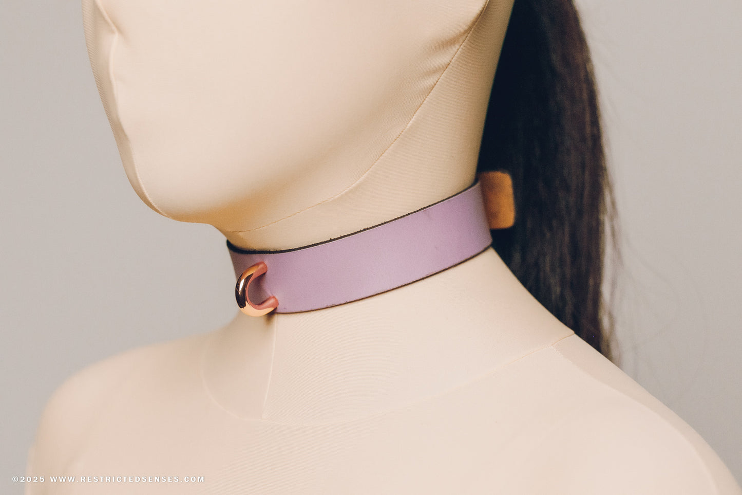 Leather Bondage Locking Collar with Post