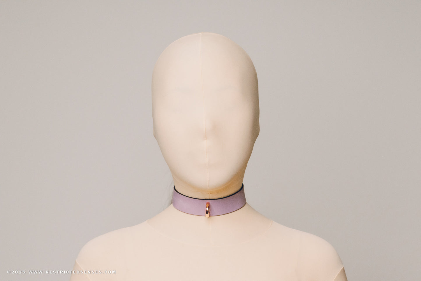 Leather Bondage Locking Collar with Post