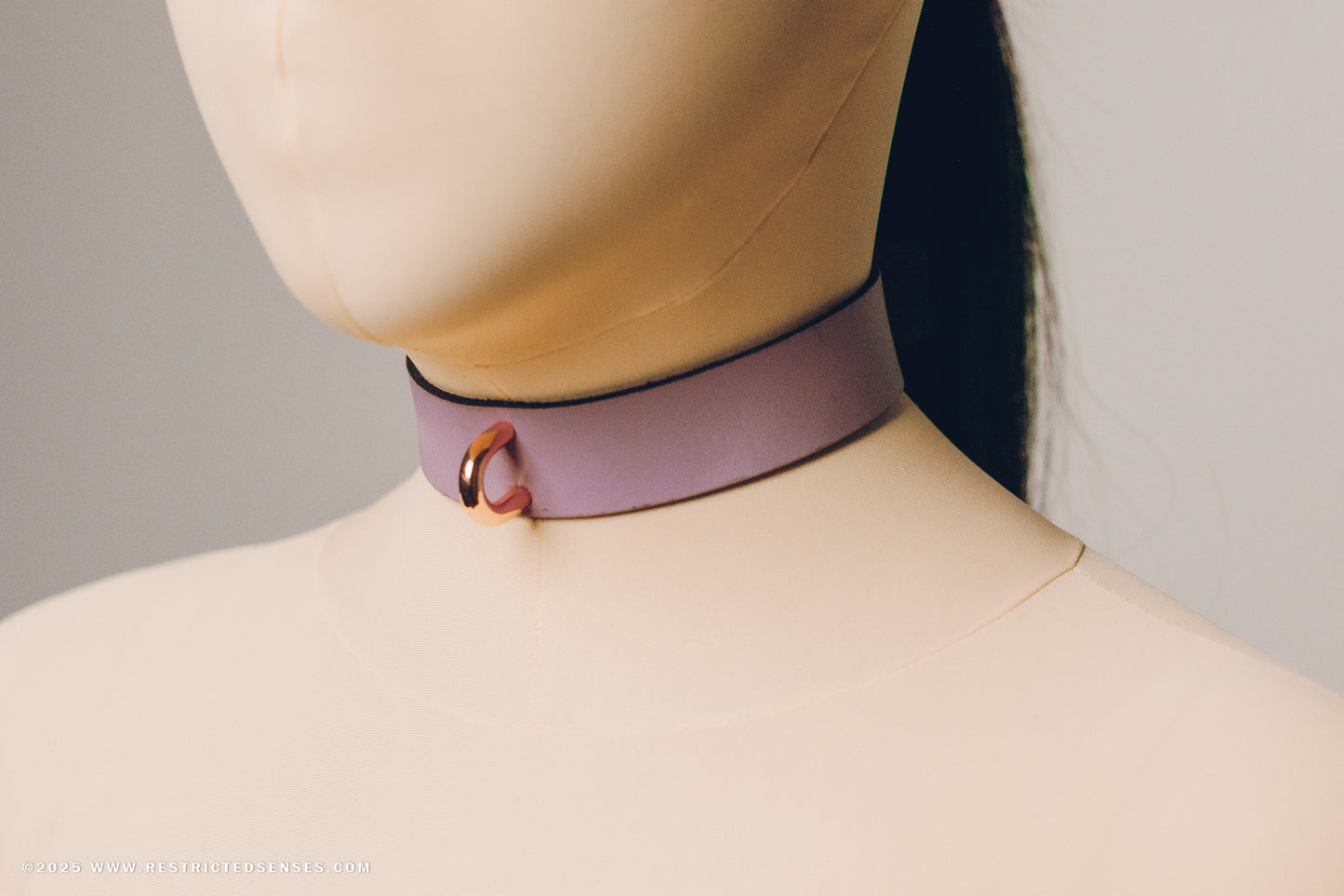 Leather Bondage Locking Collar with Post