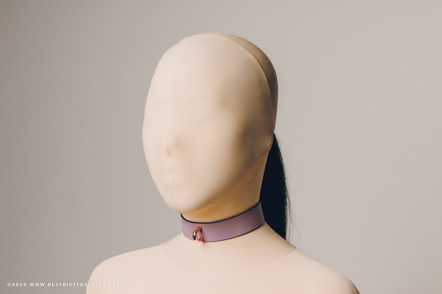 Leather Bondage Locking Collar with Post