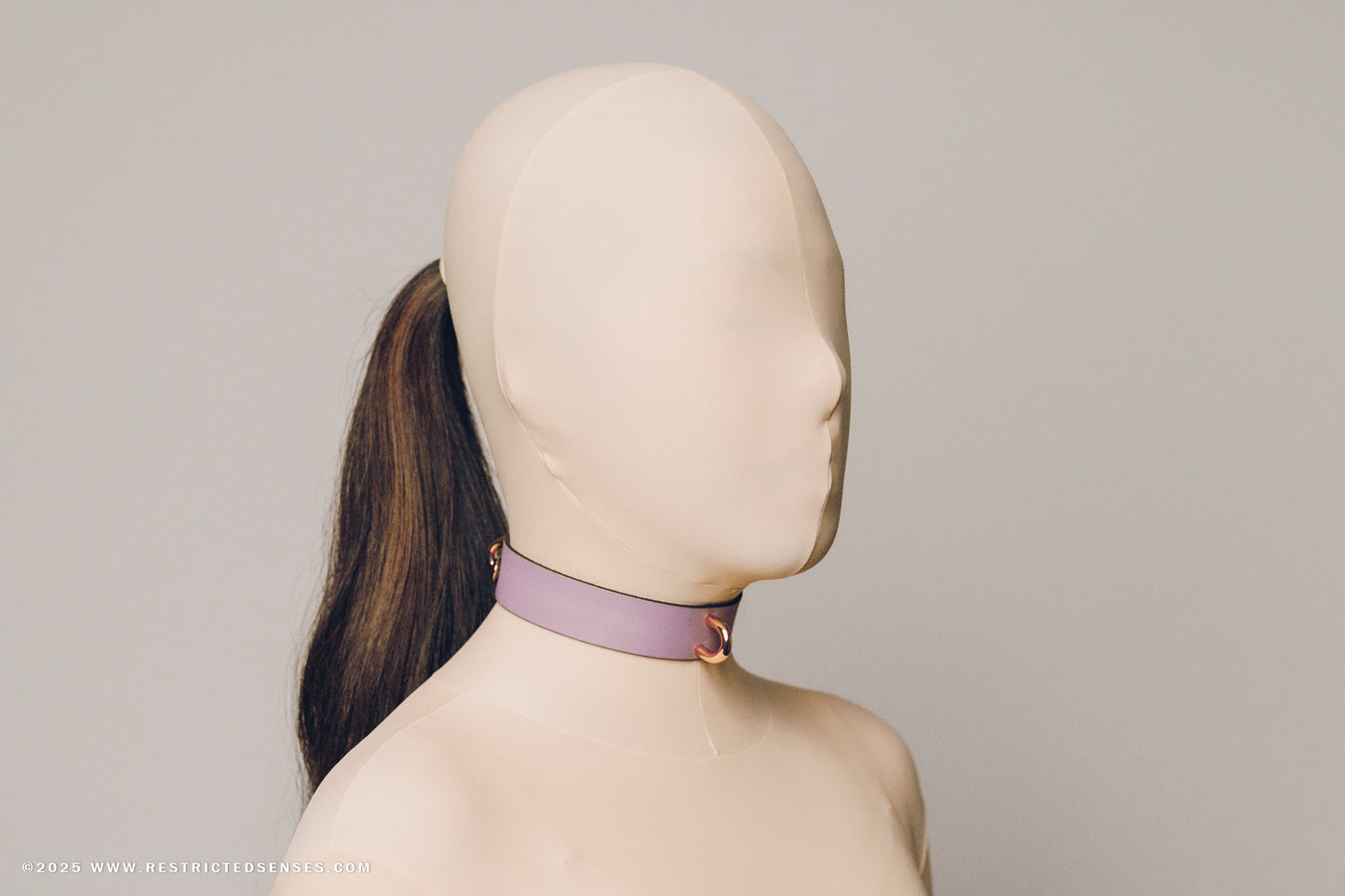 Leather Bondage Locking Collar with Post