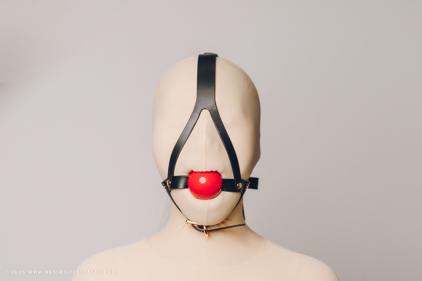 Leather Bondage Simple Style Harness Ball Gag V2