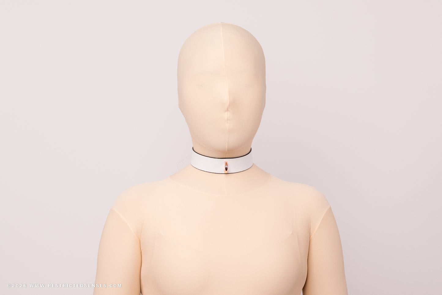Leather Bondage Locking Collar with Post
