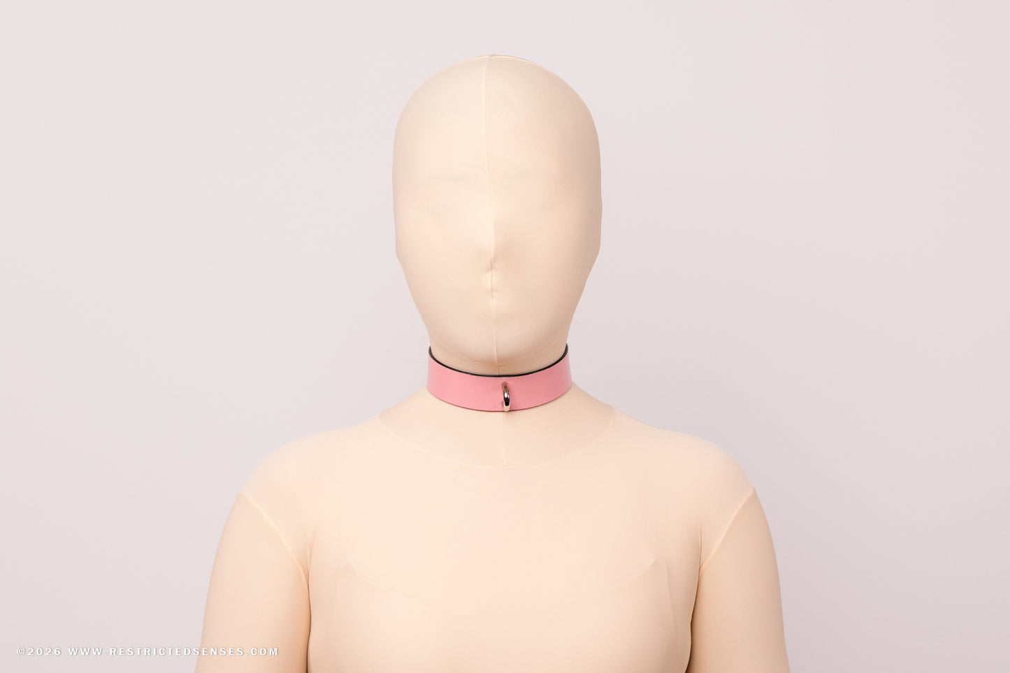 Leather Bondage Locking Collar with Post