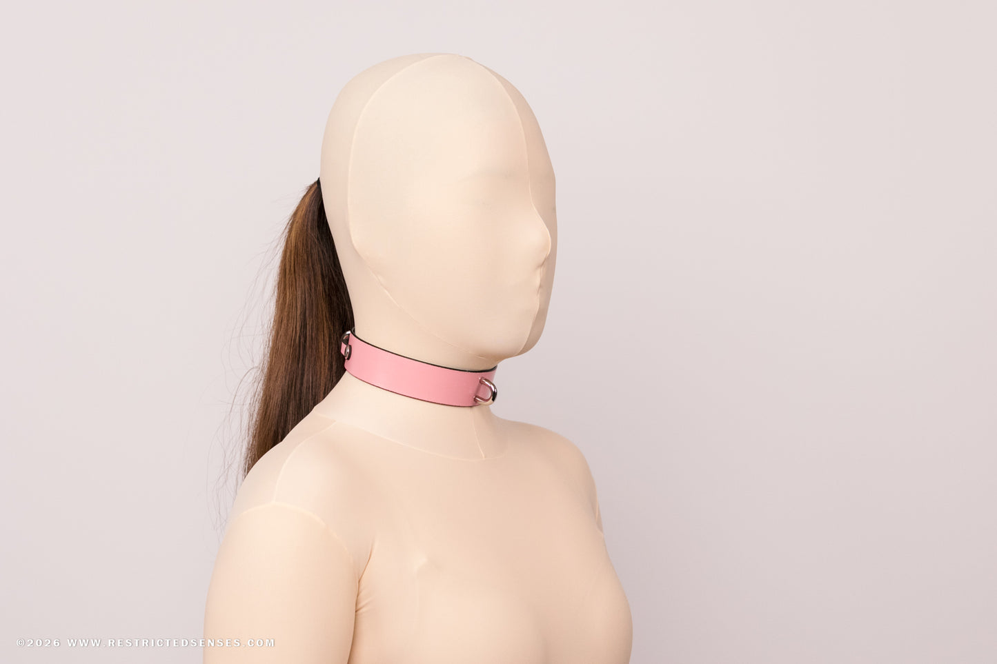 Leather Bondage Locking Collar with Post