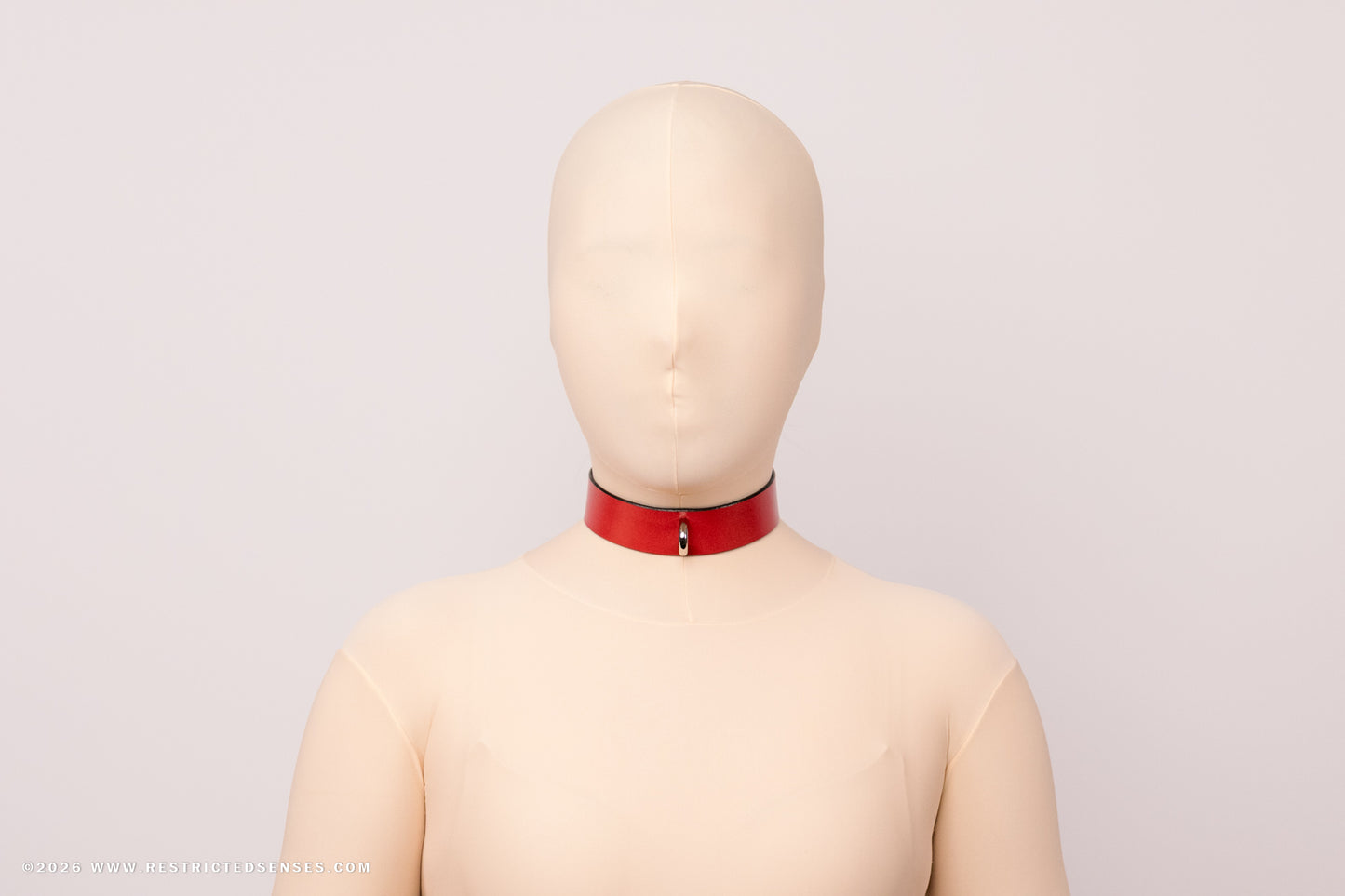 Leather Bondage Locking Collar with Post