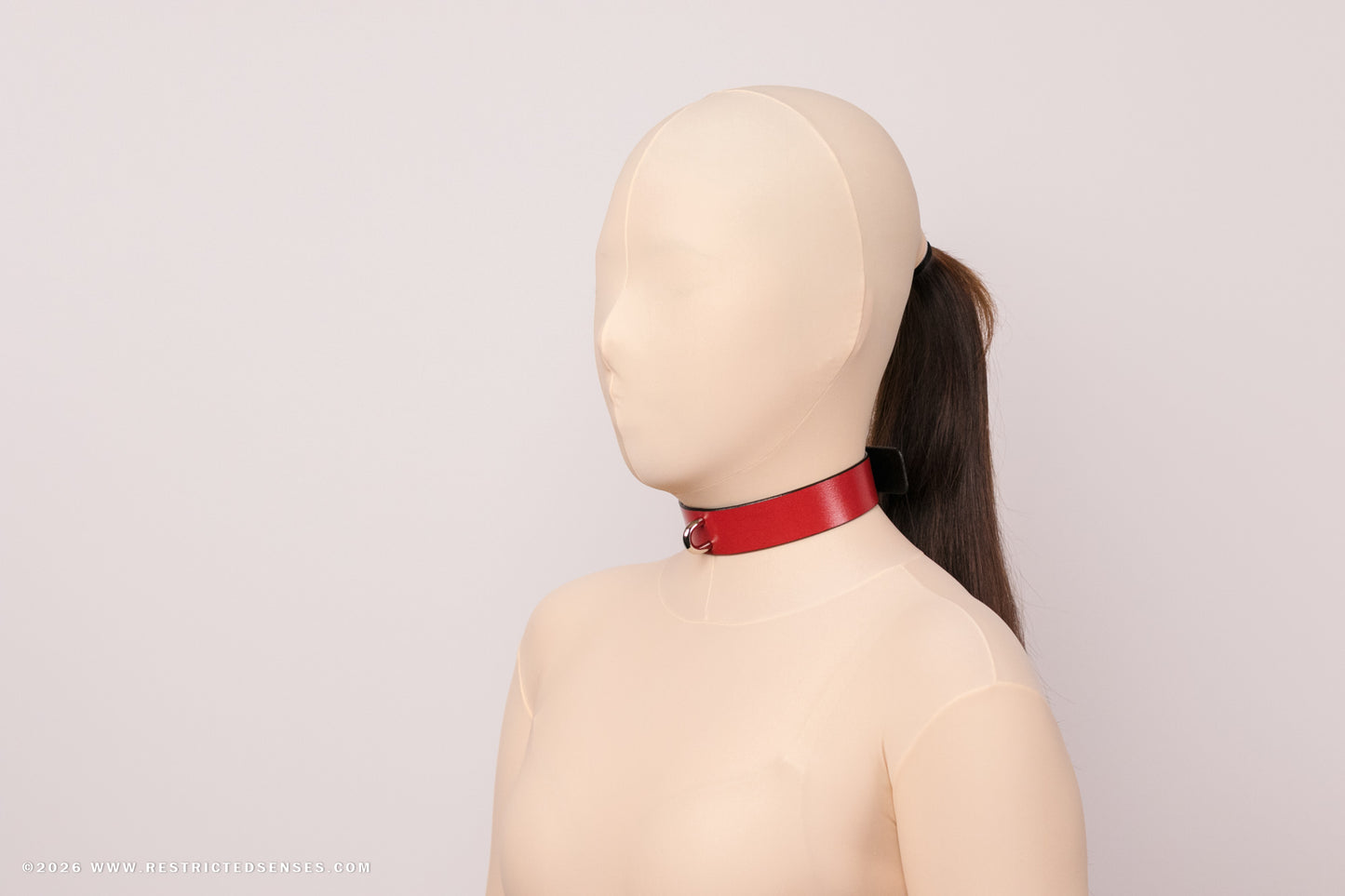 Leather Bondage Locking Collar with Post