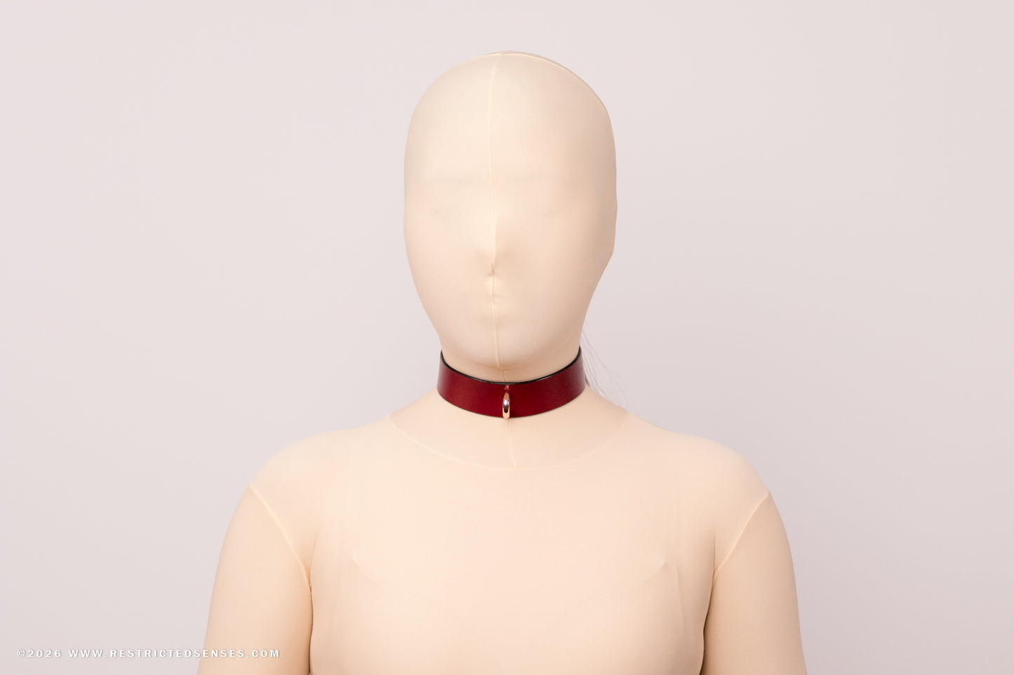 Leather Bondage Locking Collar with Post