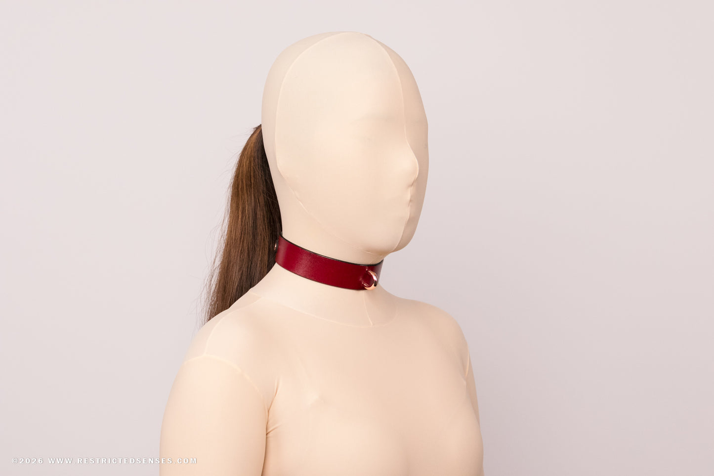 Leather Bondage Locking Collar with Post