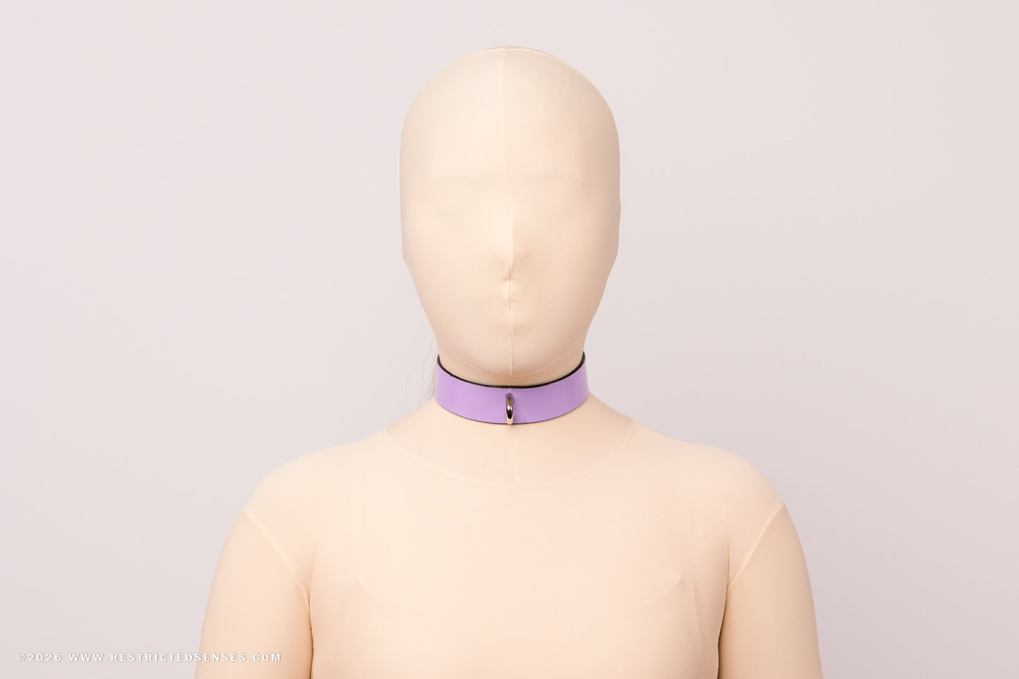 Leather Bondage Locking Collar with Post