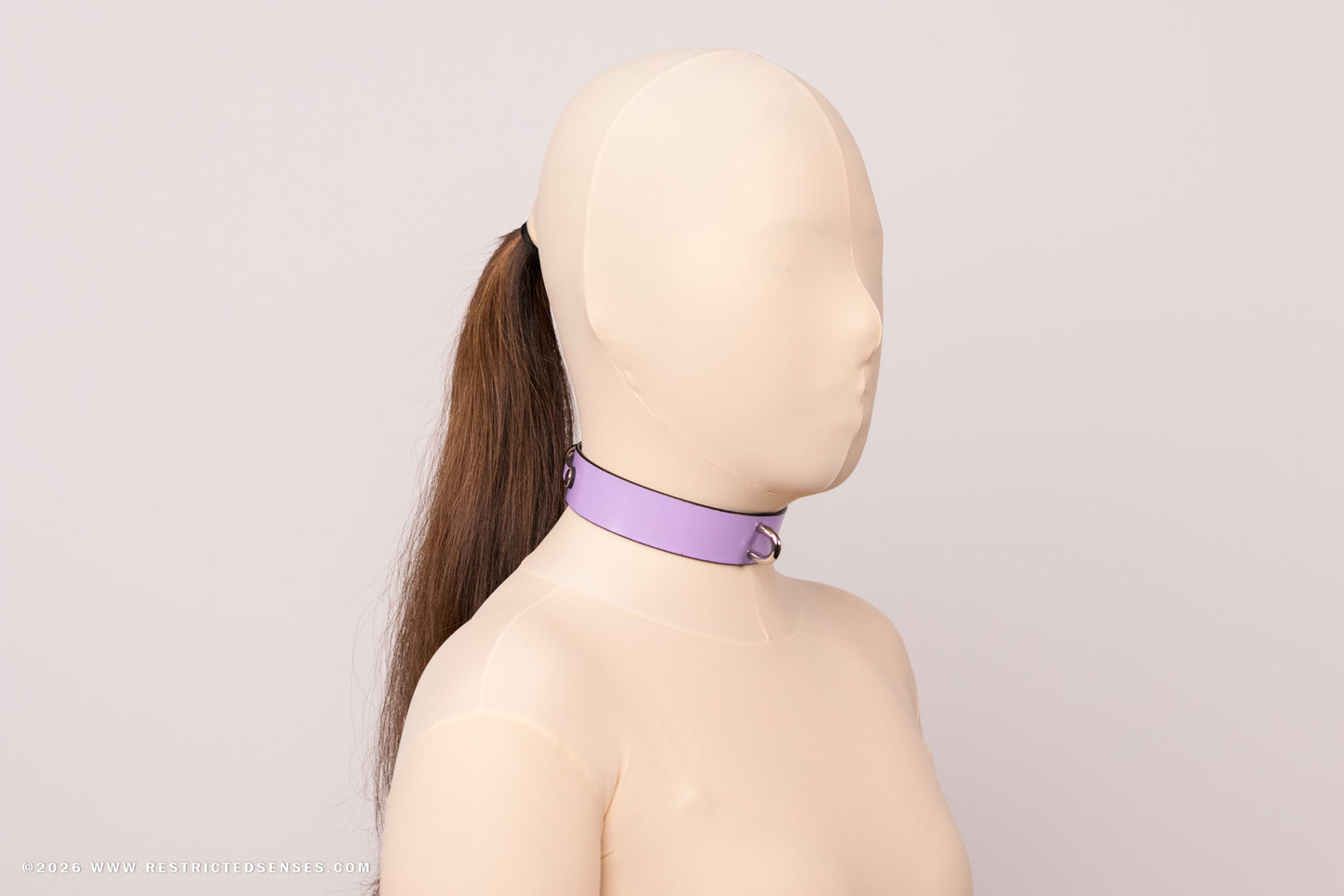 Leather Bondage Locking Collar with Post