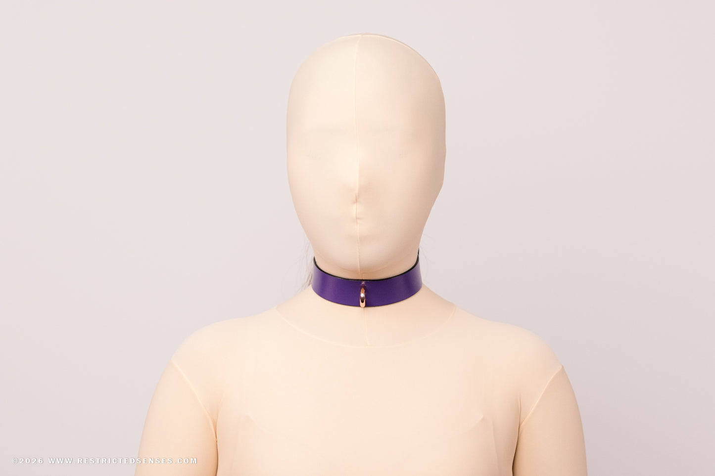 Leather Bondage Locking Collar with Post