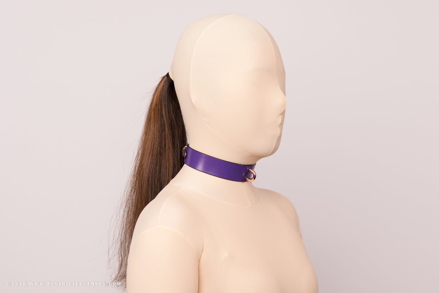 Leather Bondage Locking Collar with Post
