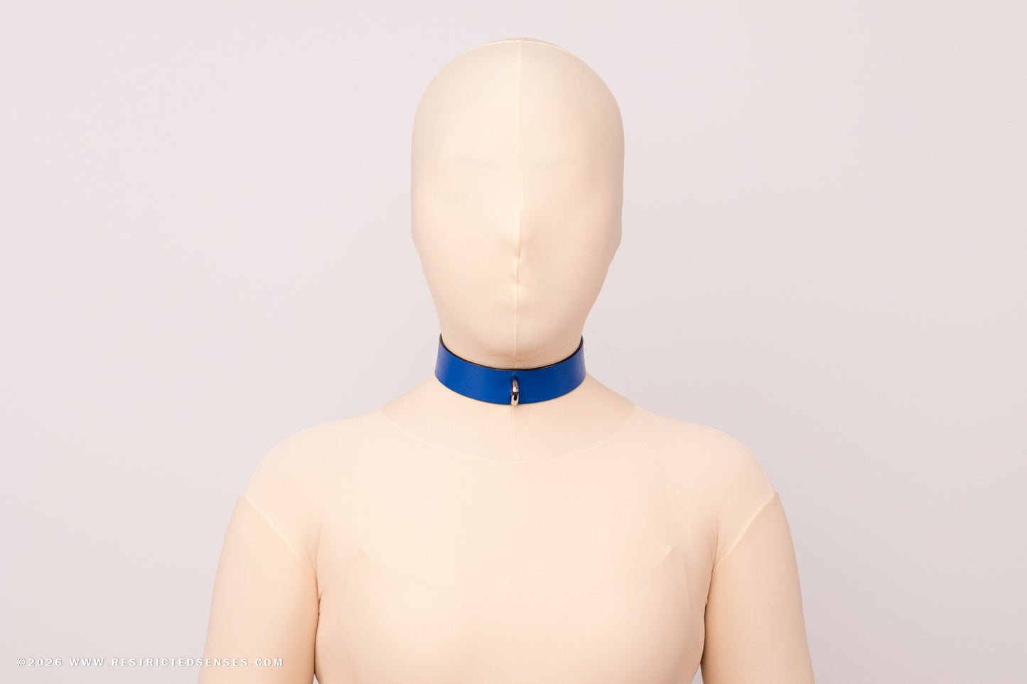 Leather Bondage Locking Collar with Post