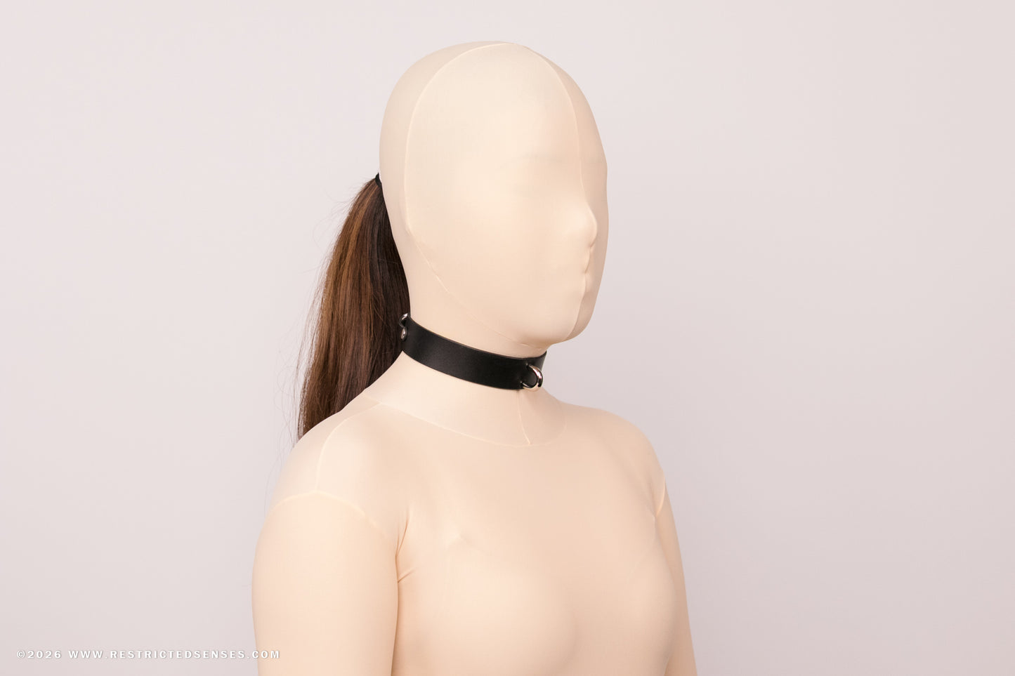 Leather Bondage Locking Collar with Post