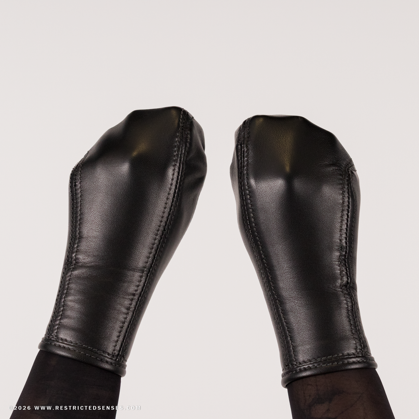 Leather Bondage Mittens with Zipper